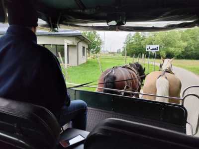 Zdjecie-WhatsApp-2025-05-30-o-14.31.44_7cf72310