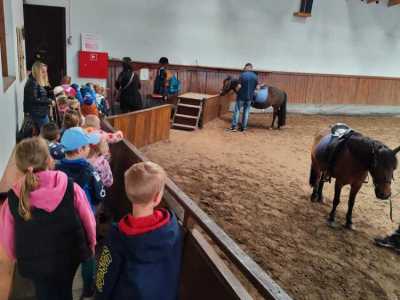 Zdjecie-WhatsApp-2025-05-30-o-14.31.50_eebe9f4d