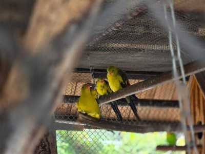 Zdjecie-WhatsApp-2025-05-30-o-17.28.37_b660b78f