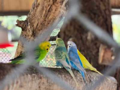 Zdjecie-WhatsApp-2025-05-30-o-17.28.37_ee0e15c5