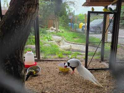 Zdjecie-WhatsApp-2025-05-30-o-17.28.37_fc7f1855