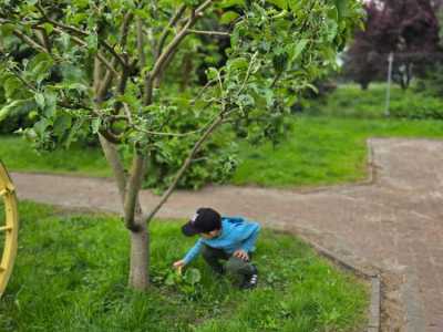 Zdjecie-WhatsApp-2025-05-30-o-17.28.40_73a81fd4