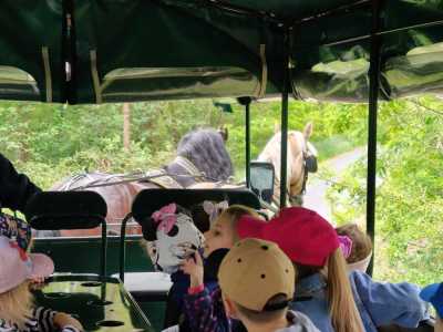 Zdjecie-WhatsApp-2025-05-30-o-13.32.48_651b6600