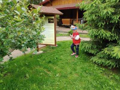 Zdjecie-WhatsApp-2025-05-30-o-13.32.51_5344a7ab