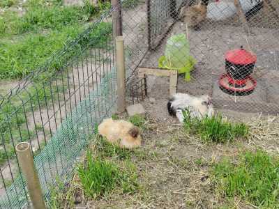 Zdjecie-WhatsApp-2025-05-30-o-13.32.53_9c1537d2