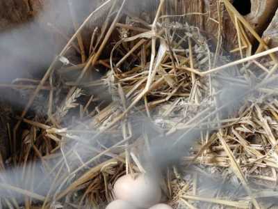 Zdjecie-WhatsApp-2025-05-30-o-13.32.53_b5748501