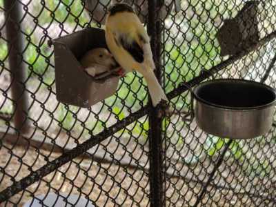 Zdjecie-WhatsApp-2025-05-30-o-13.32.55_5669b338