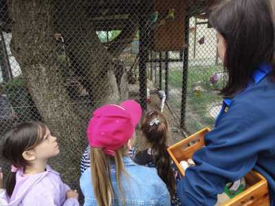 Zdjecie-WhatsApp-2025-05-30-o-13.32.56_ed86e905