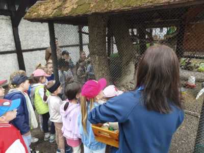 Zdjecie-WhatsApp-2025-05-30-o-13.33.01_cb5e3767