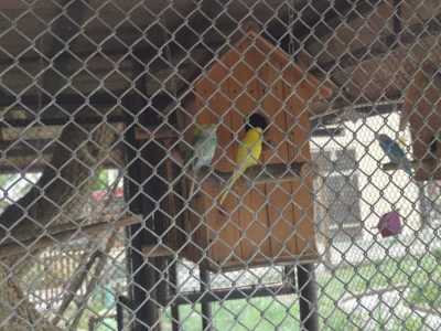 Zdjecie-WhatsApp-2025-05-30-o-13.33.01_f0bea7c0