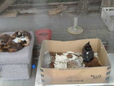 Zdjecie-WhatsApp-2025-05-30-o-13.33.02_8f45f058