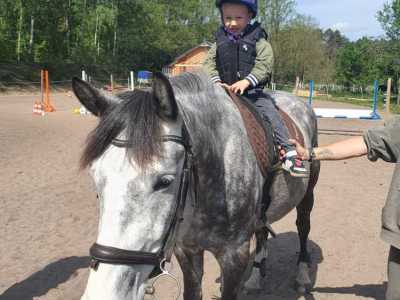 Zdjecie-WhatsApp-2024-05-08-o-15.52.08_fdd0919d