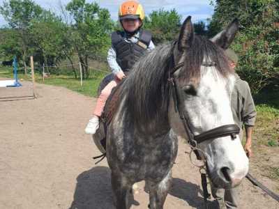 Zdjecie-WhatsApp-2024-05-08-o-15.52.09_a28cb091