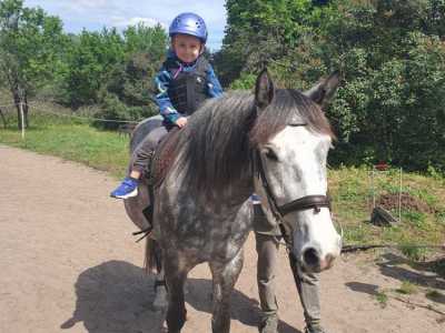 Zdjecie-WhatsApp-2024-05-08-o-15.52.10_4e030216