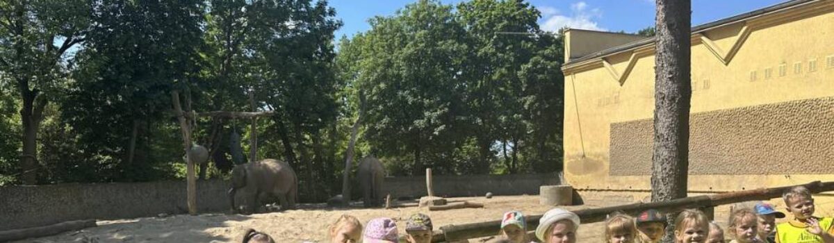 WYCIECZKA DO ZOO