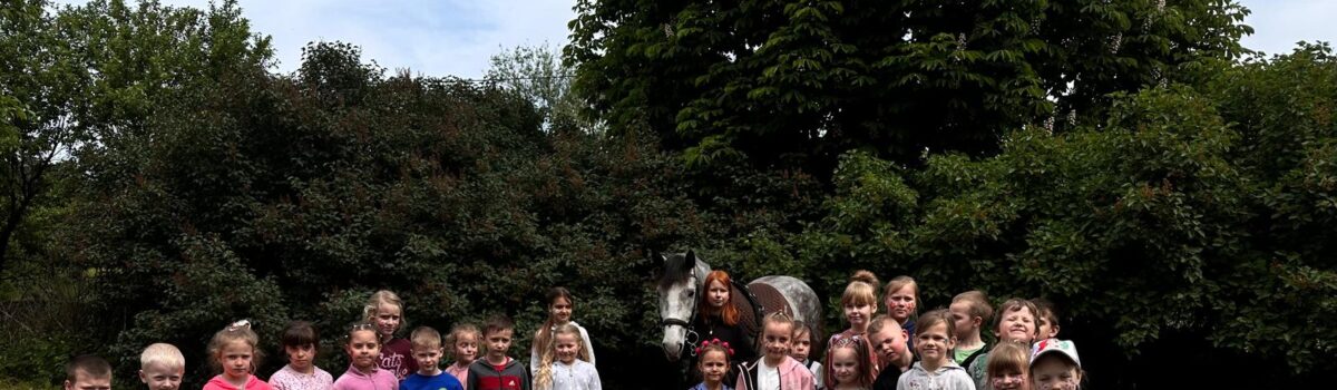 Wyjście do Stadniny koni ,,Diablo” grupy 6 – latków