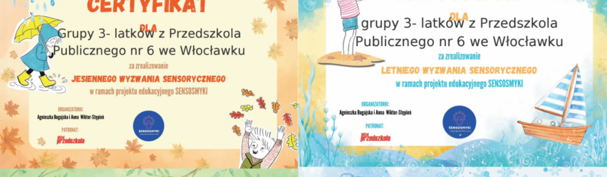 Zrealizowane projekty w roku szkolnym 2024/2025