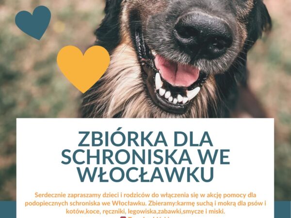 Zbiórka dla schroniska