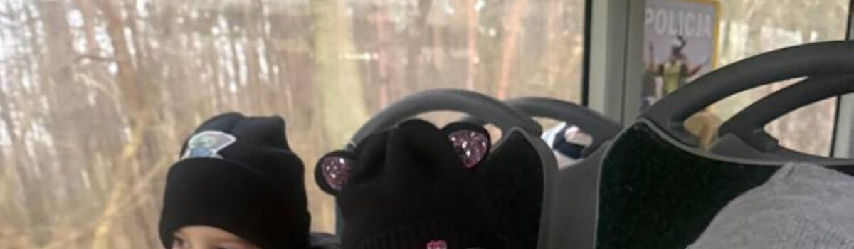 Wyjście do multikina na seans filmowy pt. ,,Mikołaj i ekipa” grup 3/4 latki, 5 – latki